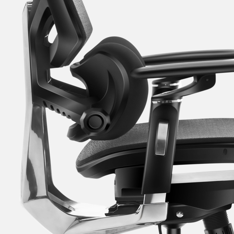 expert_9.6_feature_lumbar_section.jpg