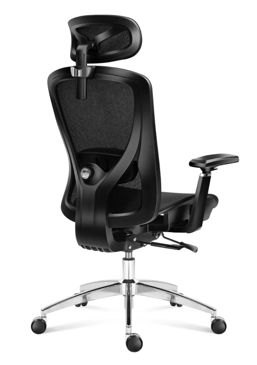 expert5.3_black_bevel_back.webp